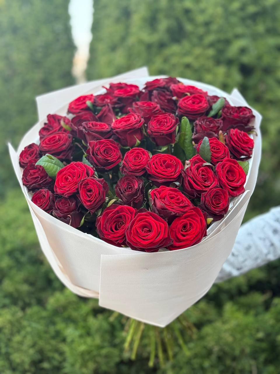 39 Roses Variety Grand Prix
