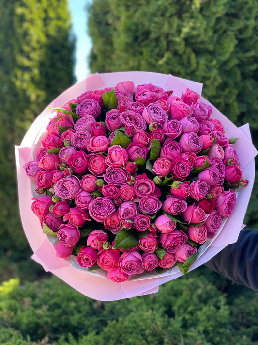 101 Peony Roses (Variety Light and Lavender Lace)