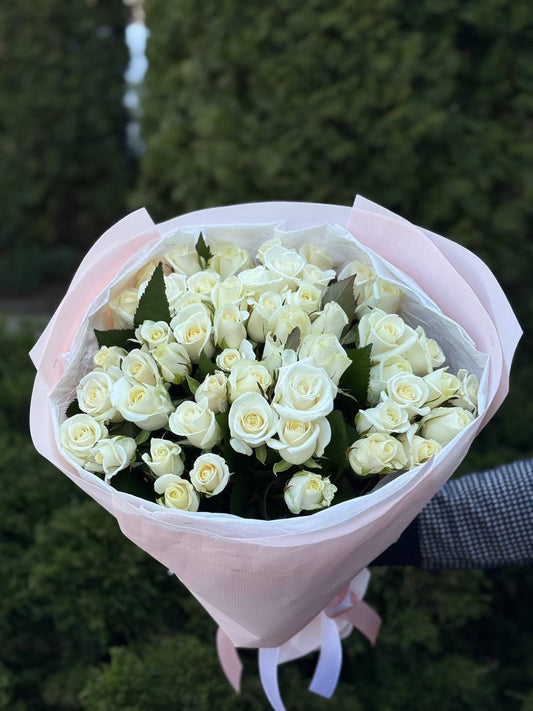 51 roses of the Beluga variety