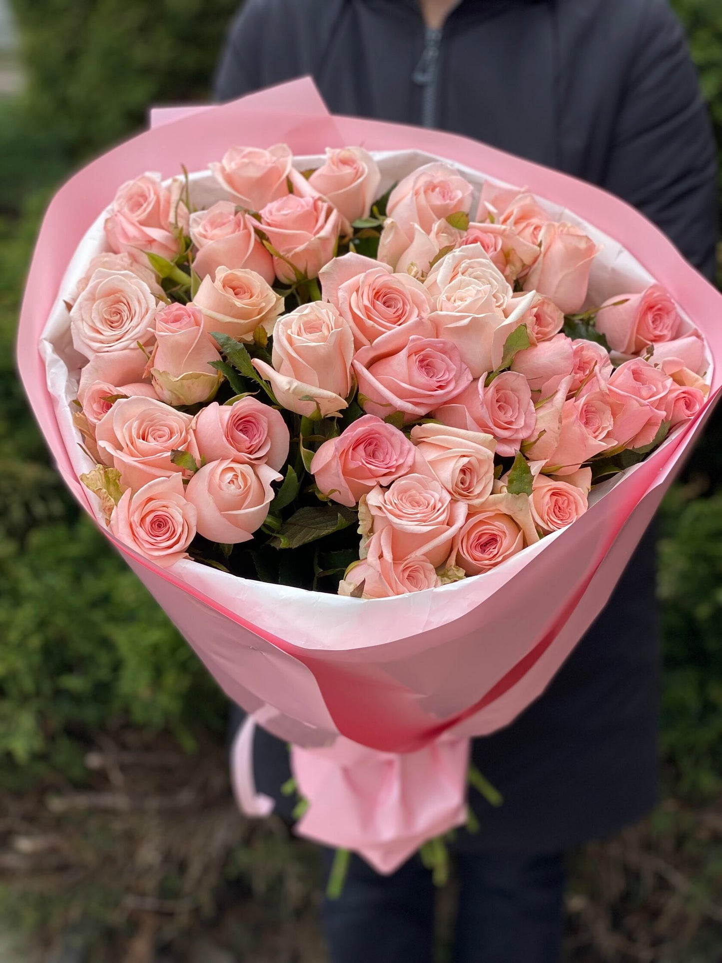 39 Roses Variety Kimberly