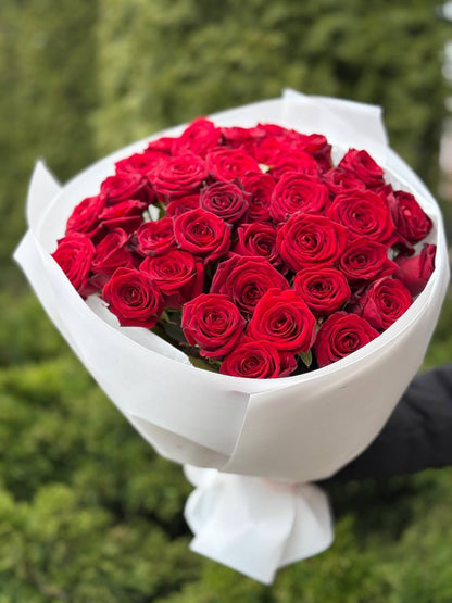 39 Roses Variety Red Naomi