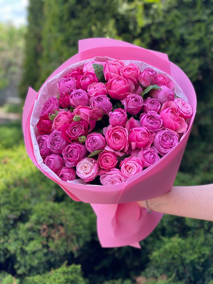 39 Peony Roses Varieties Light and Lavender Lace