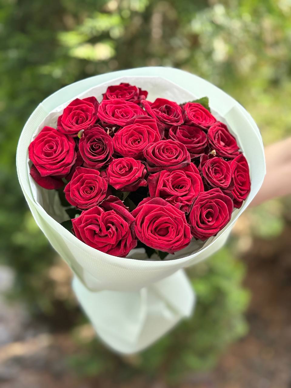 19 Roses Variety Grand Prix