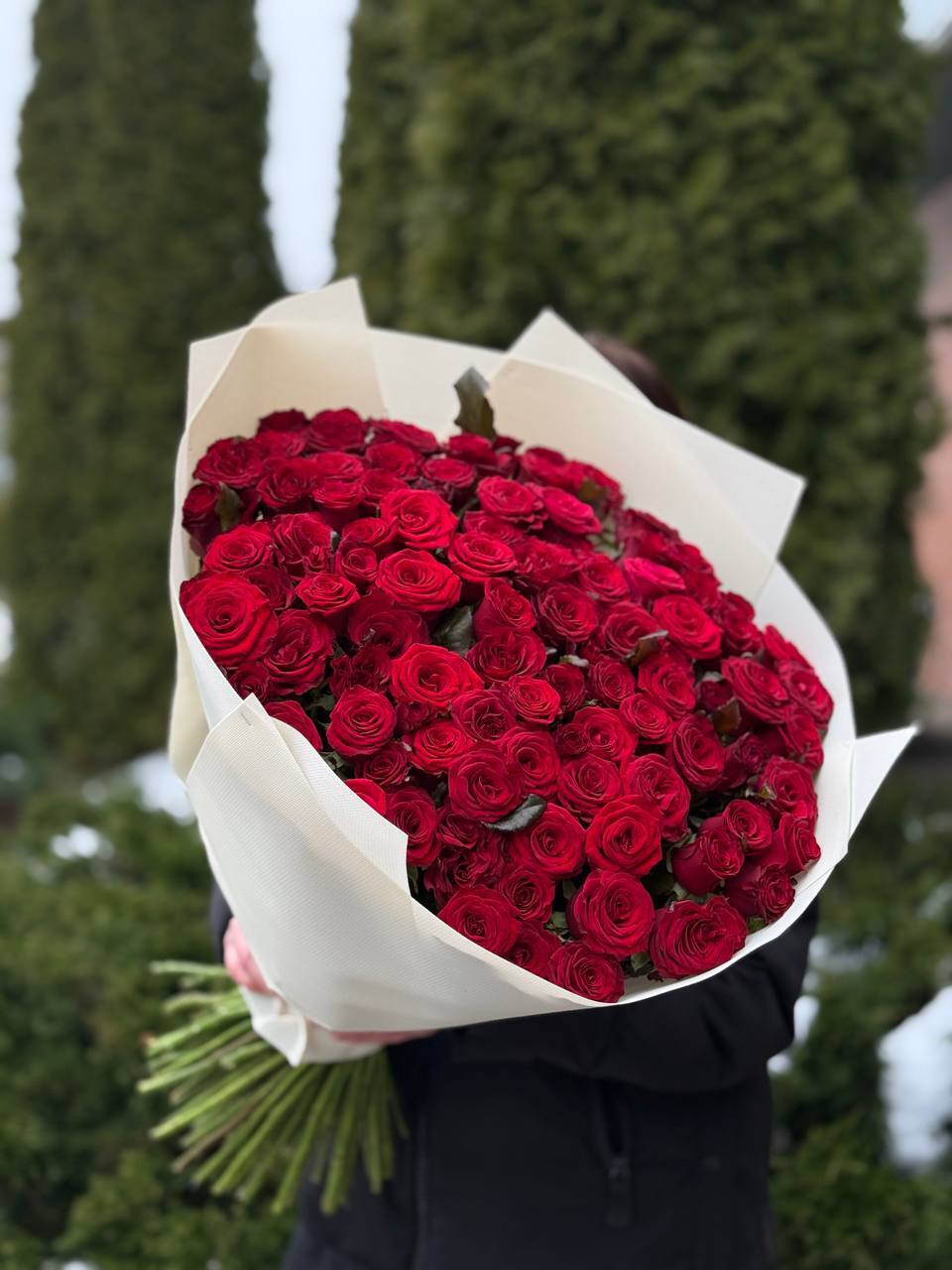 101 Roses Variety Prestige