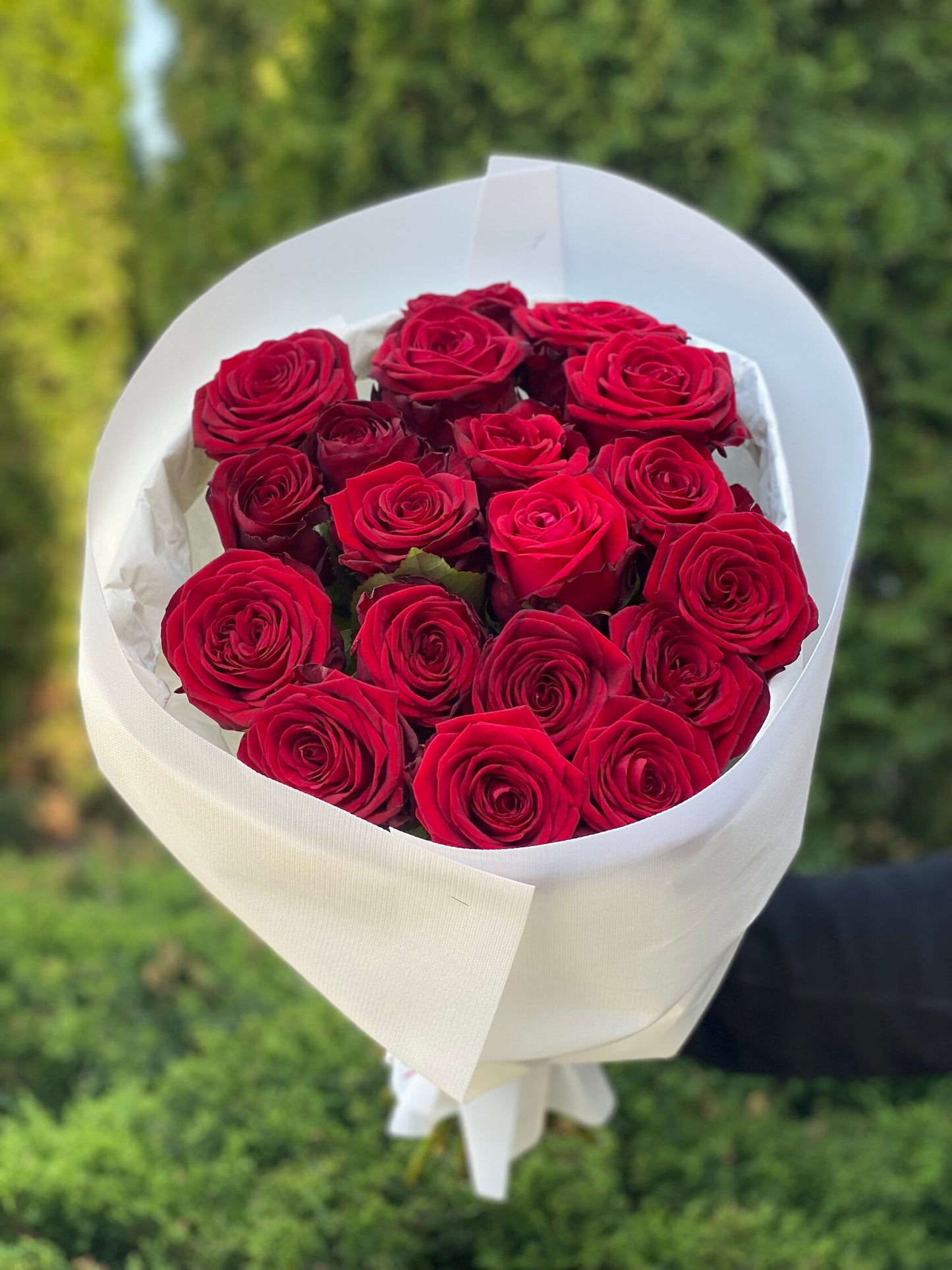 19 Roses Variety Grand Prix