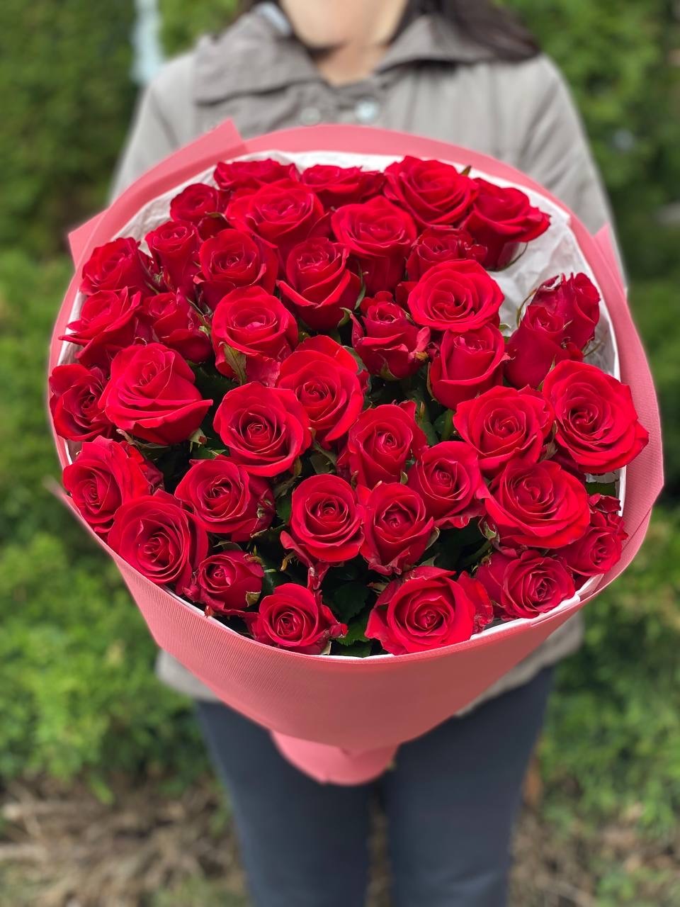 39 Roses Variety Red Eagle