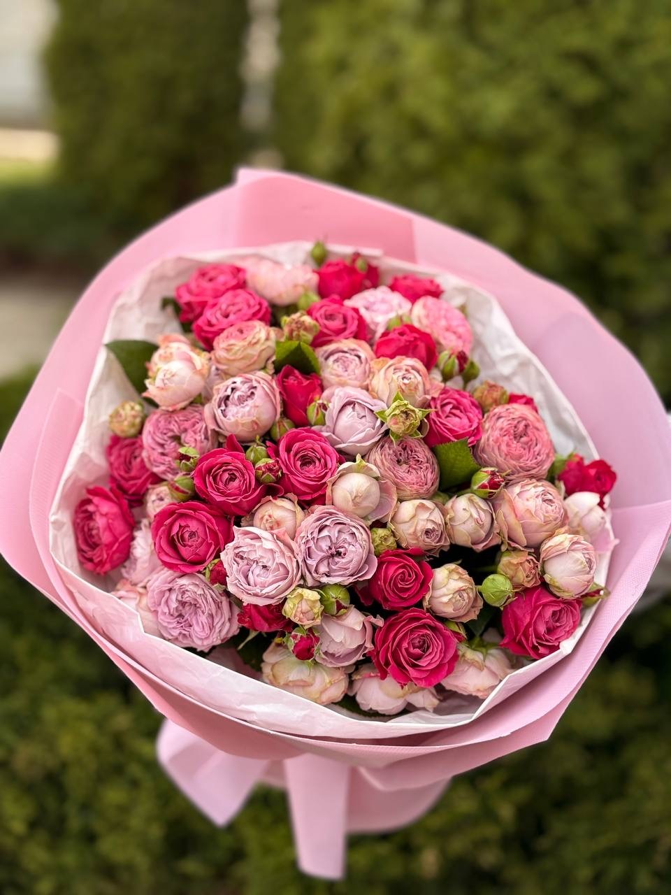 39 Roses Varieties Lavender and Majestic