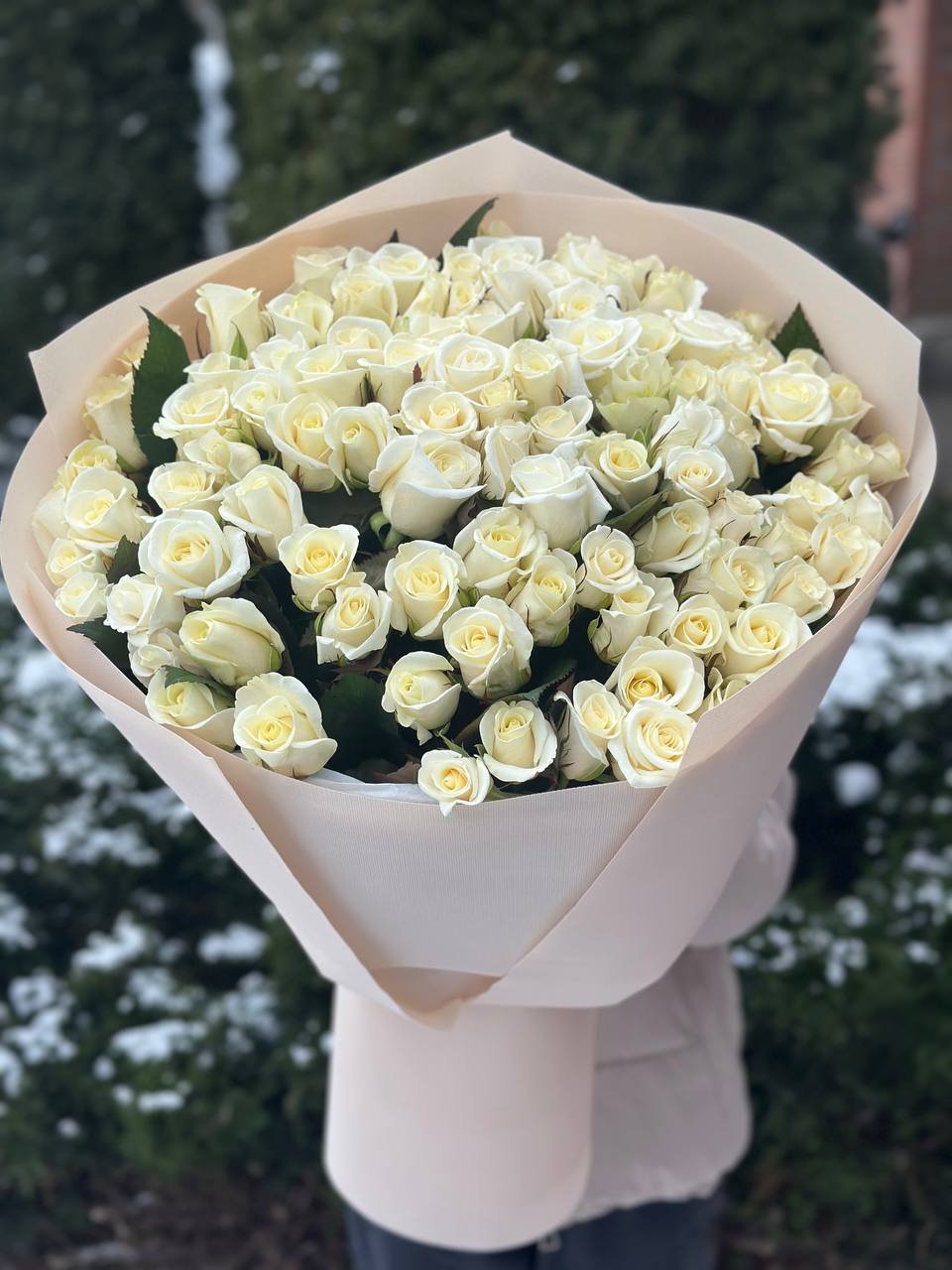 101 Roses Variety Beluga