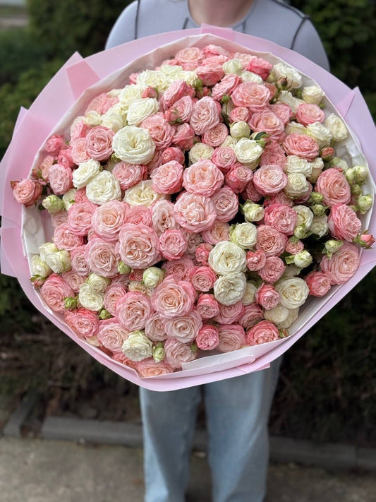 101 Peony-Shaped Roses (Miss Bombastic, Bombastic Varieties)