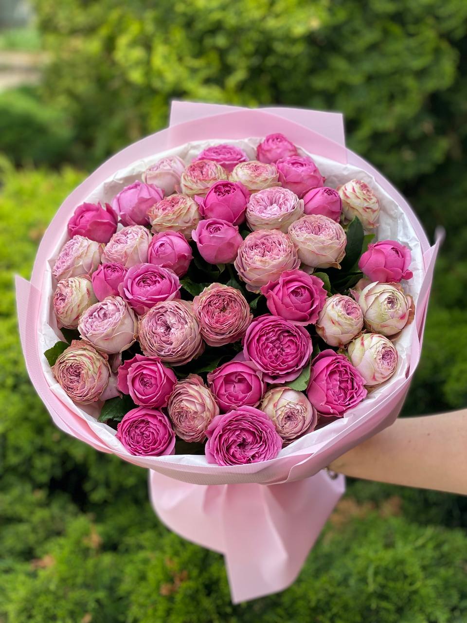 39 Roses Varieties Lavender Lace and Lavender