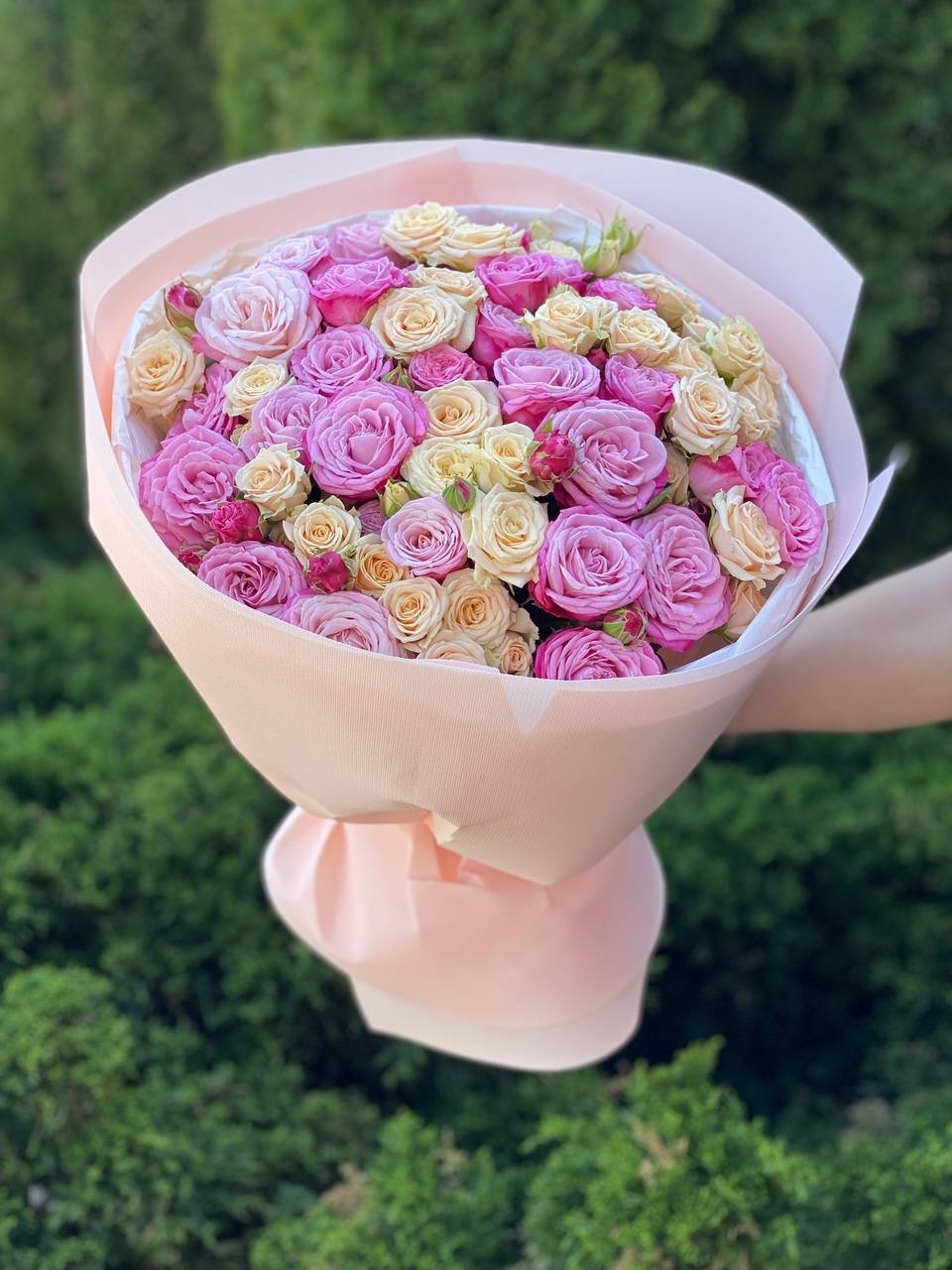 39 Roses Varieties Tanja and Lady Bombastic