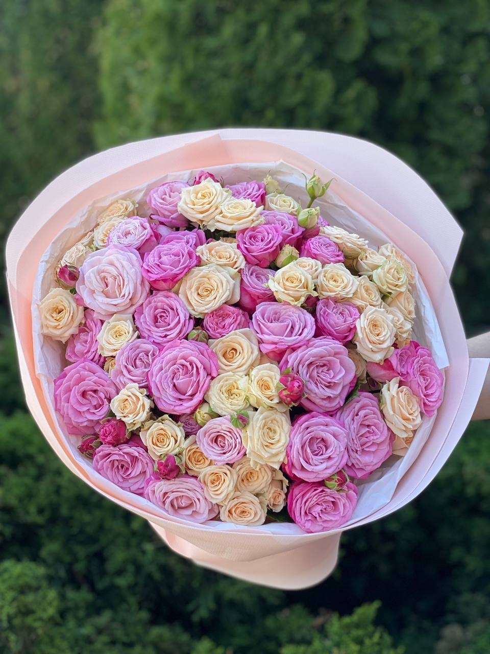 39 Roses Varieties Tanja and Lady Bombastic