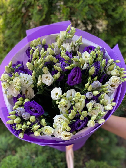 Eustoma 19 stems white and purple (70 cm)