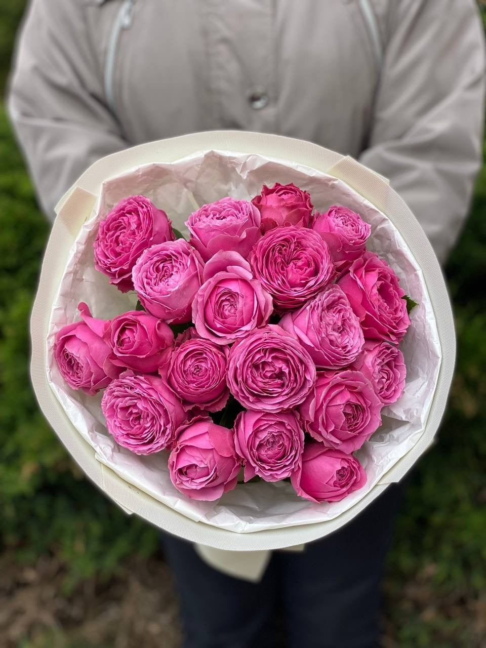 19 branchy peony roses, Lavenderlace variety