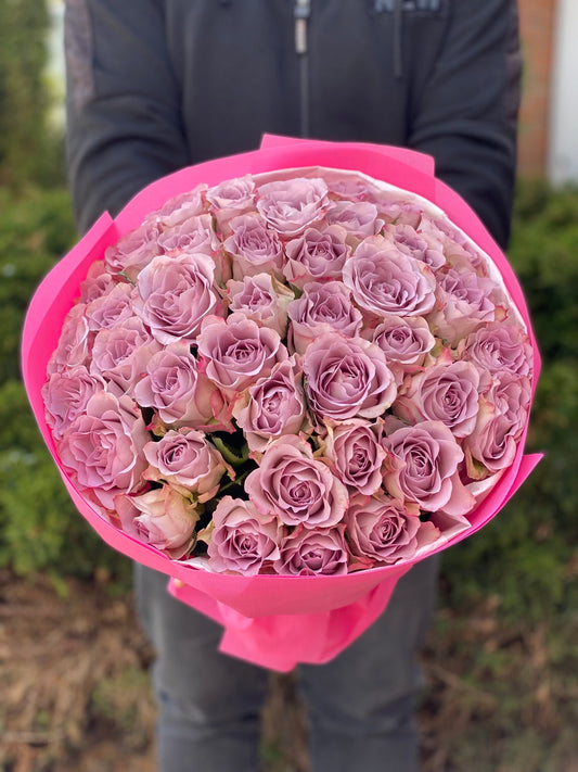39 Roses Variety Purple Holland