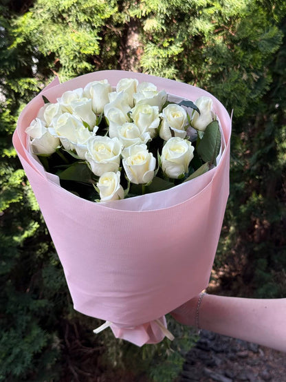 19 Roses Variety Beluga