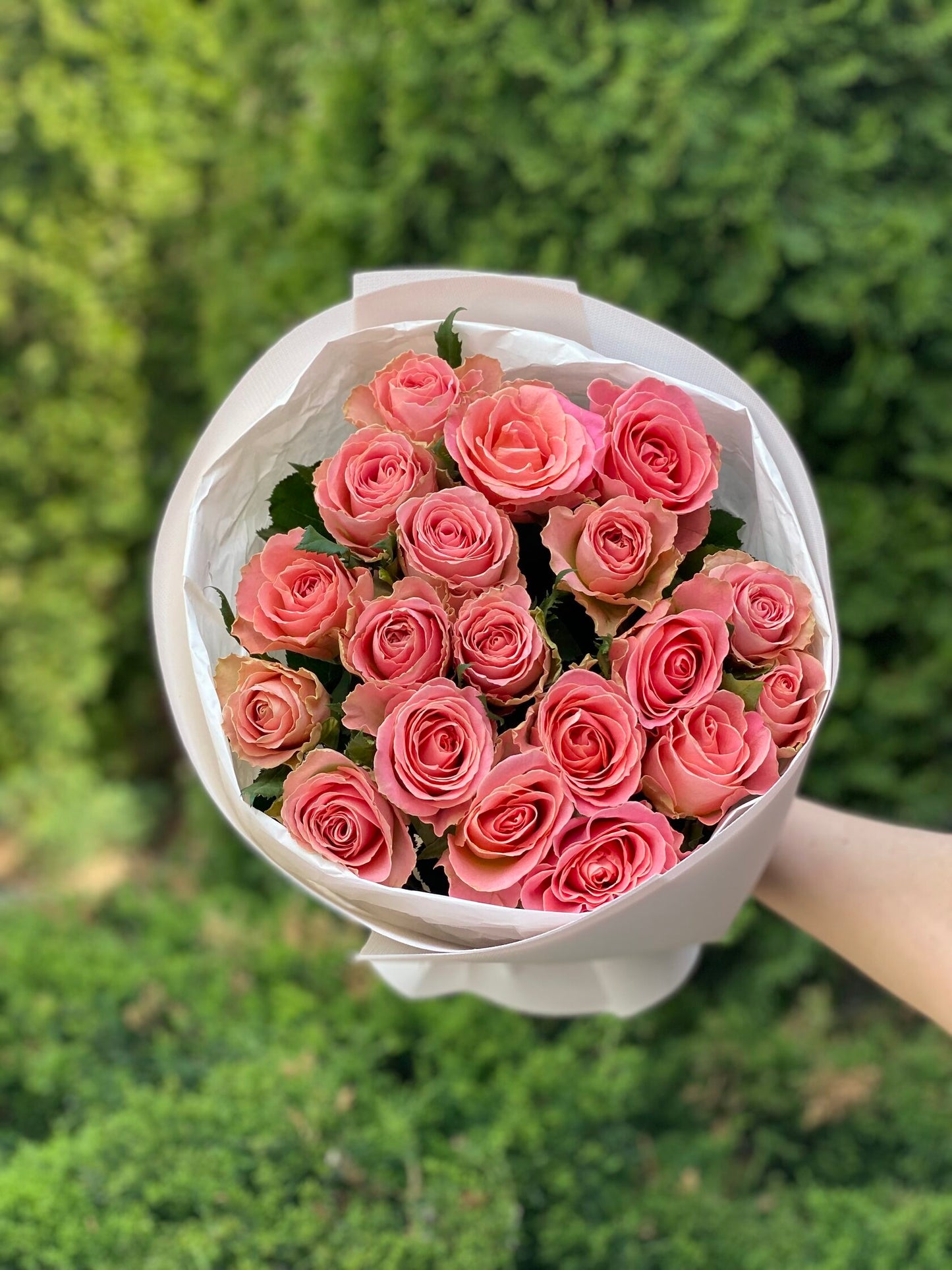 19 Roses Holland Variety Pink
