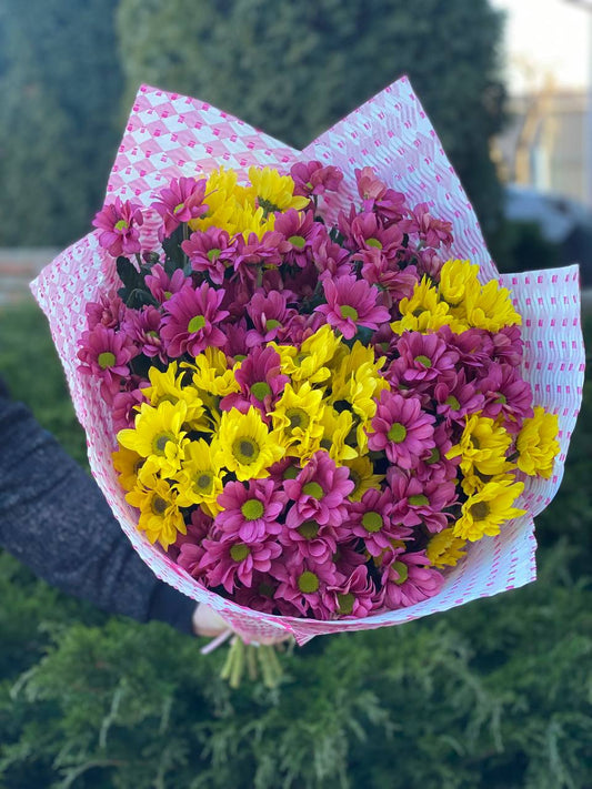 15 daisy-like chrysanthemums (color Purple and Yellow)
