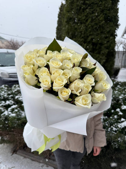 39 Roses Variety Beluga