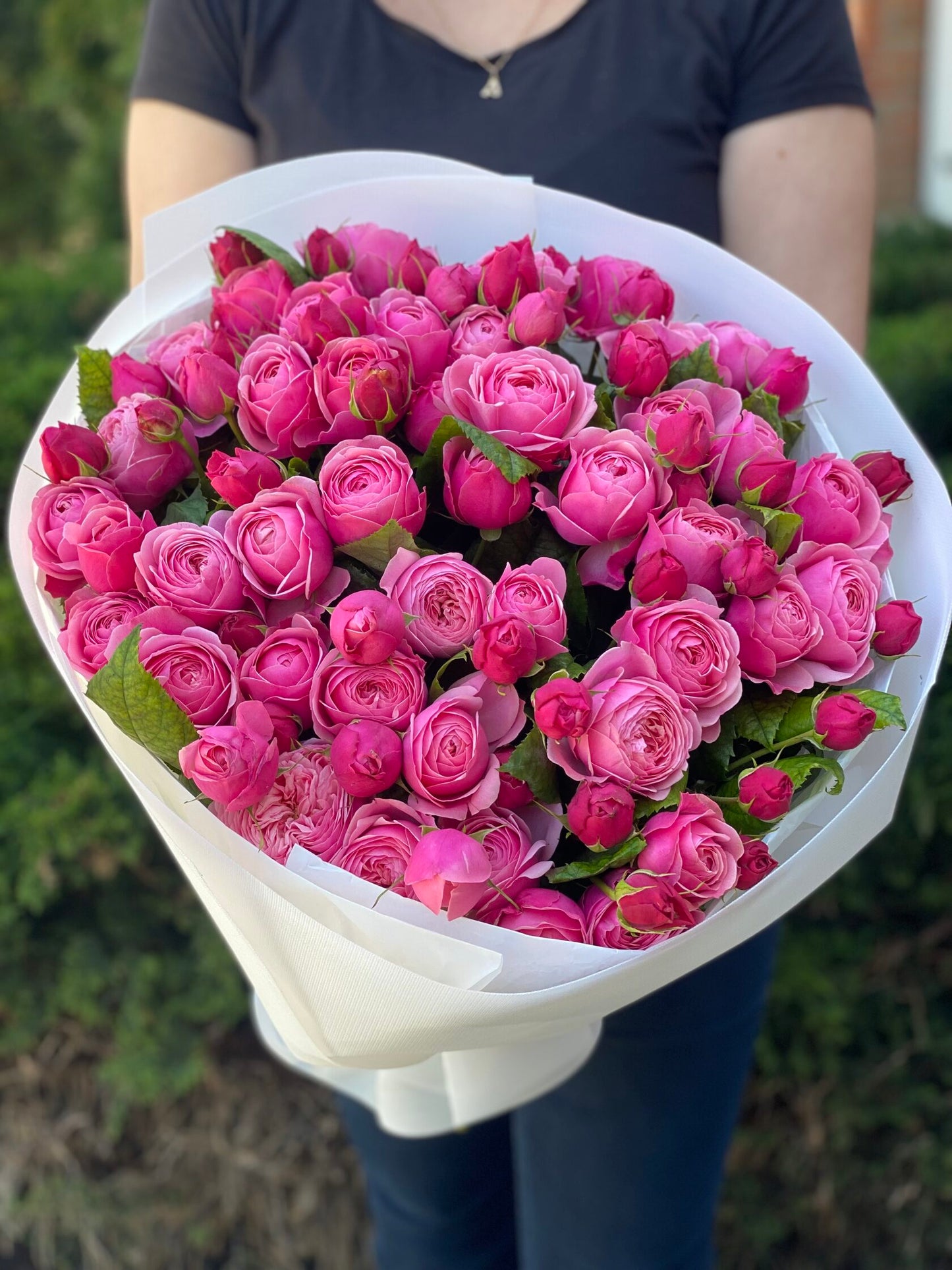 39 Peony Roses Variety Lavender Lace Light