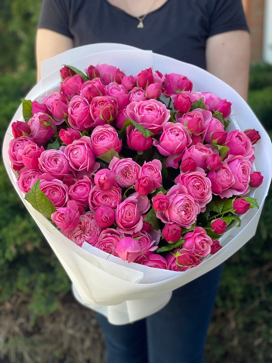39 Peony Roses Variety Lavender Lace Light