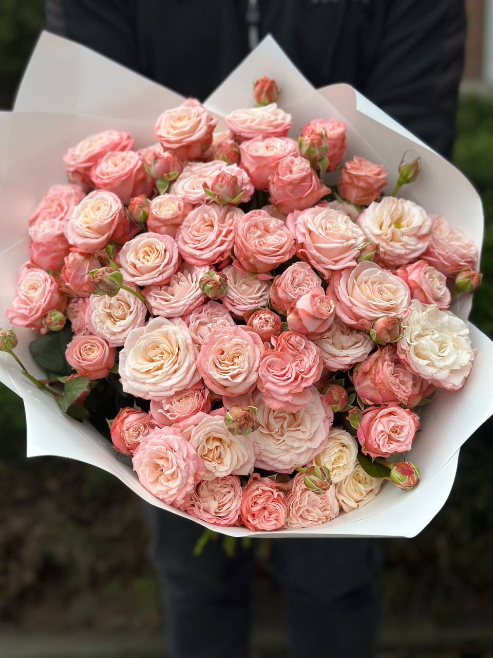 39 Spray Peony Roses Variety Bombastic