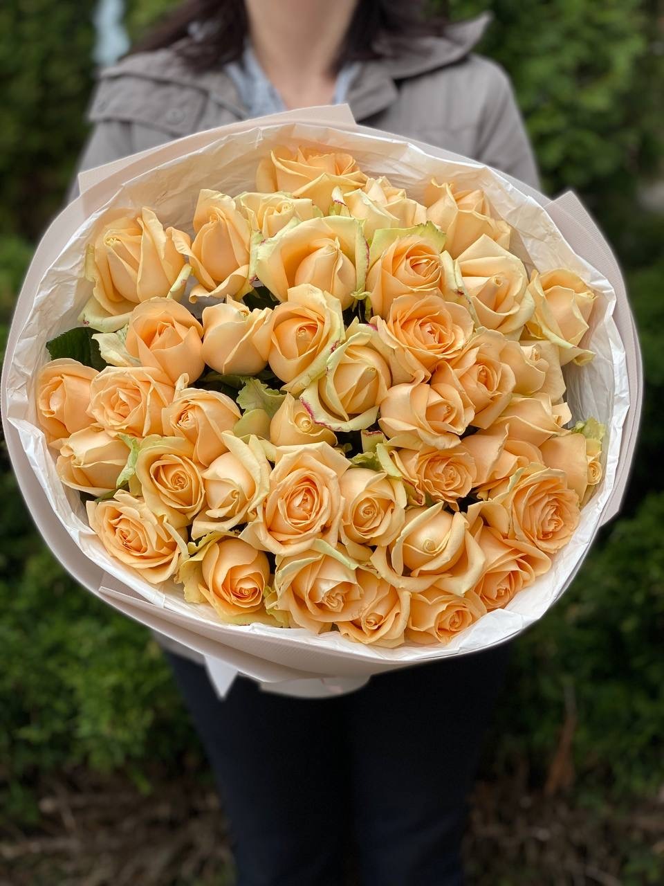 39 Roses Variety Peach Avalanche