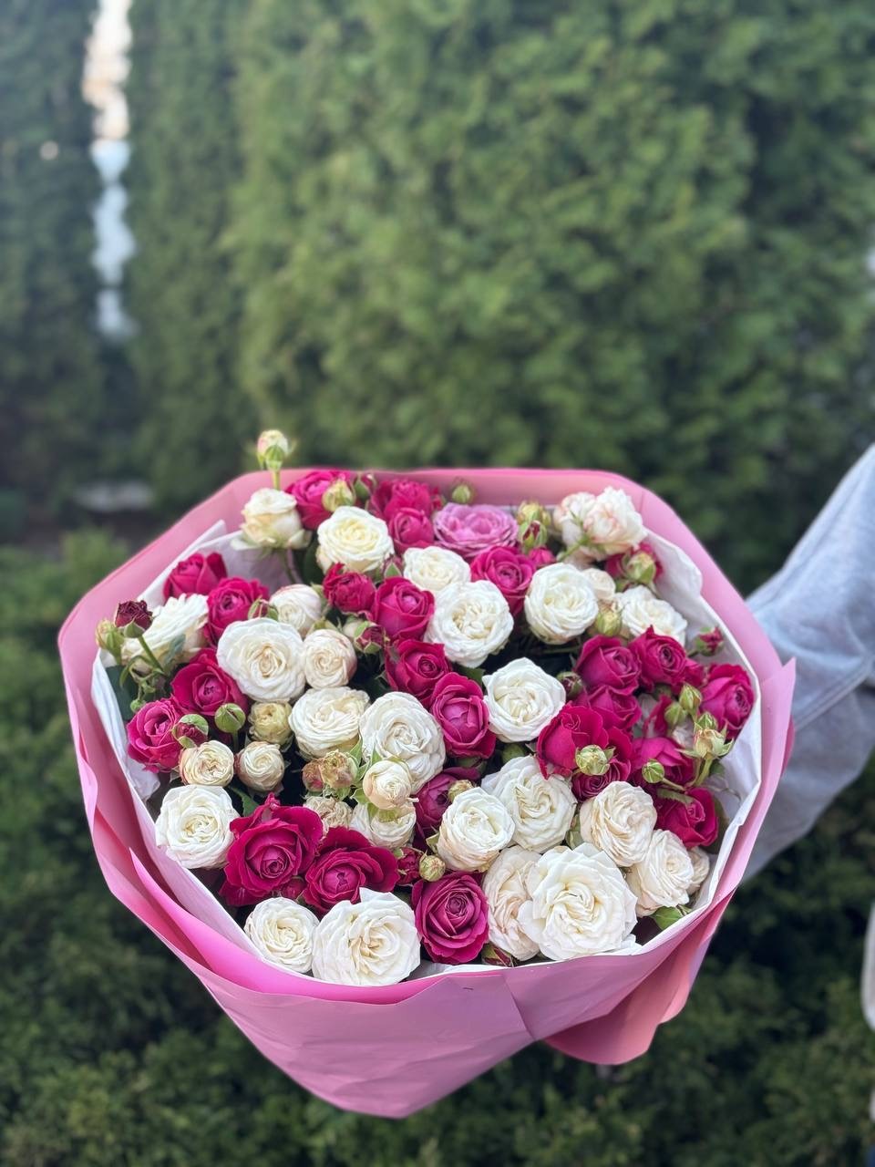 39 Roses Varieties Bombastic and Majestic