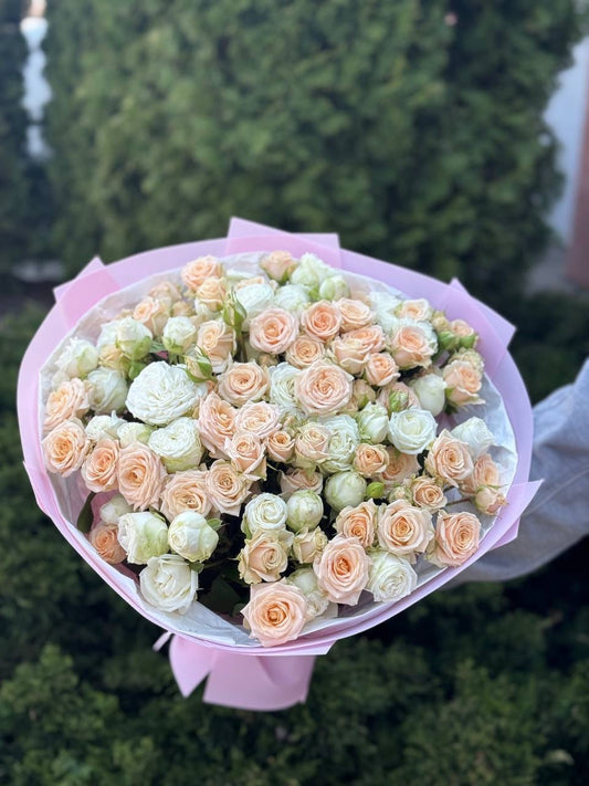 39 Roses Varieties Miss Bombastic and Tanja