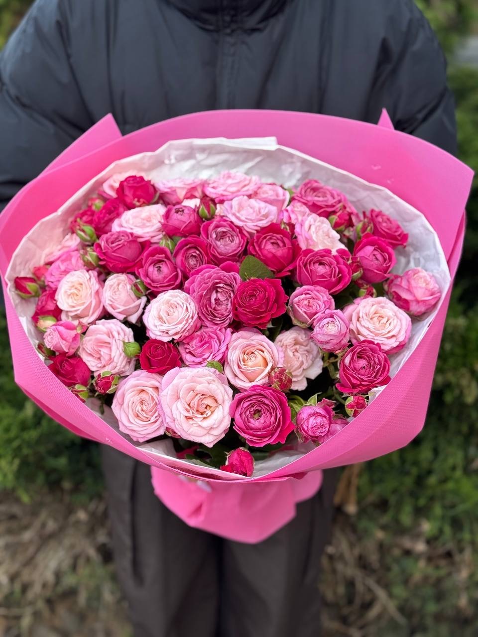 39 Roses Varieties Lady Bombastic and Majestic