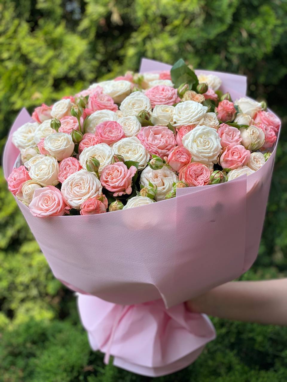 51 peony-shaped roses of the Miss Bombastic and Bombastic varieties