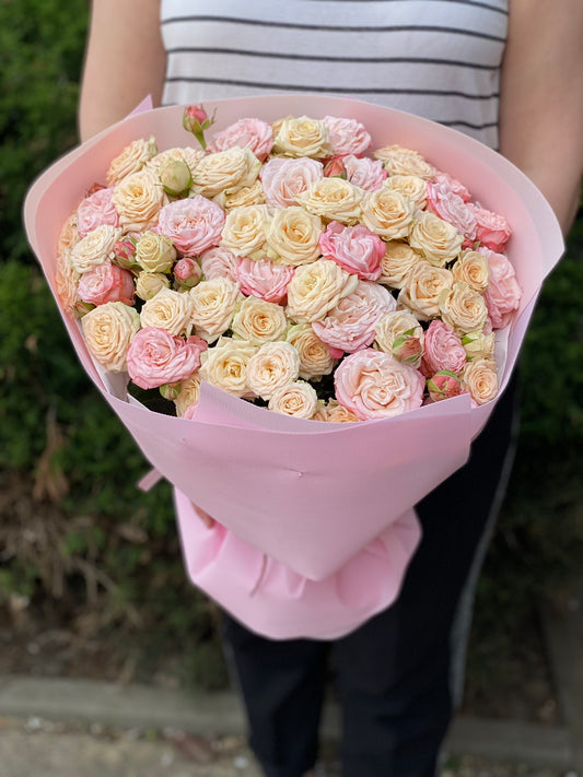 39 Roses Varieties Tanja and Bombastic