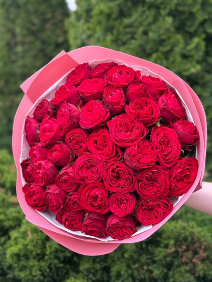 39 Peony Roses Red Variety Country Spirit
