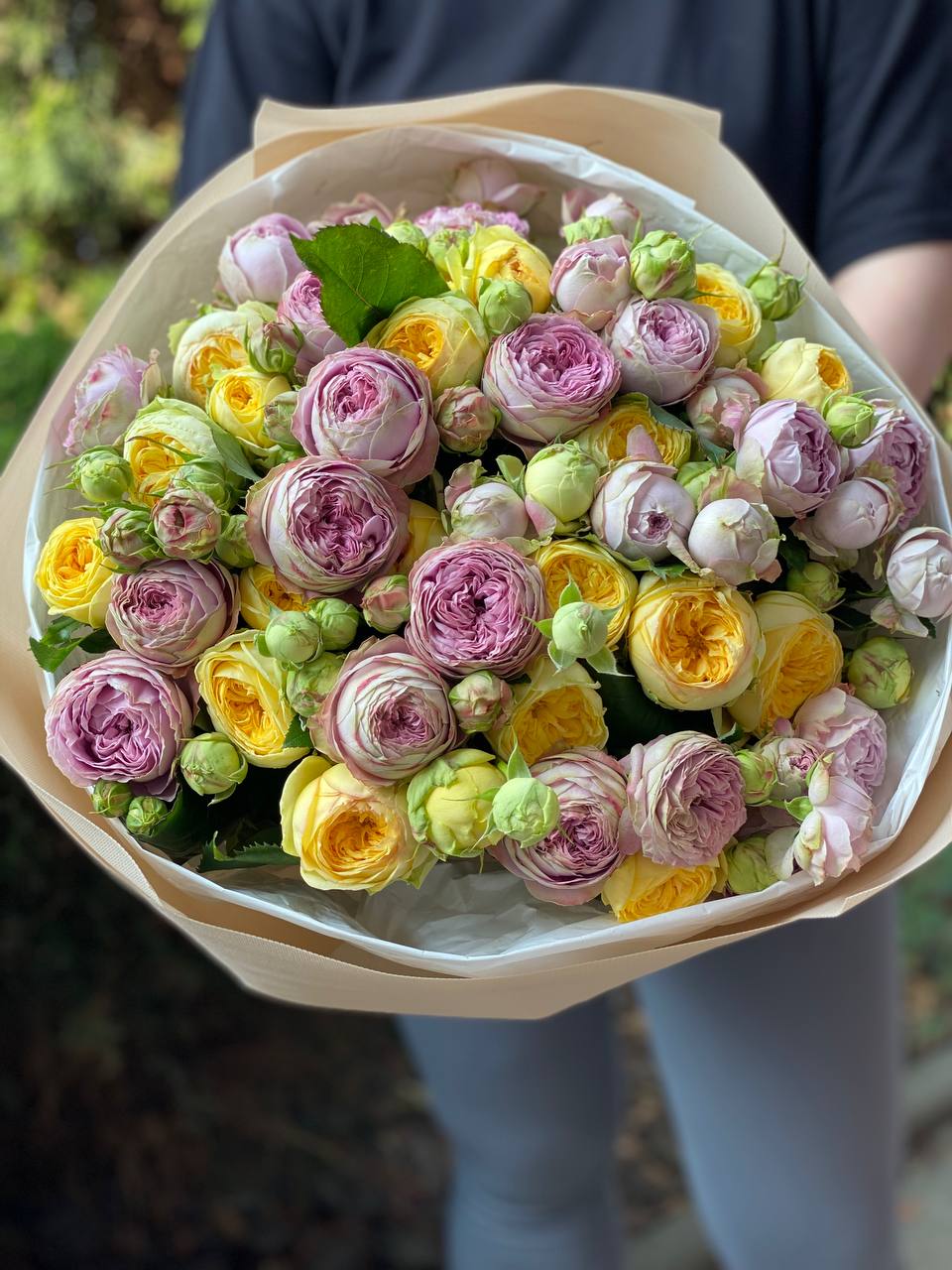 51 peony-shaped roses of the Lavender and Peony varieties