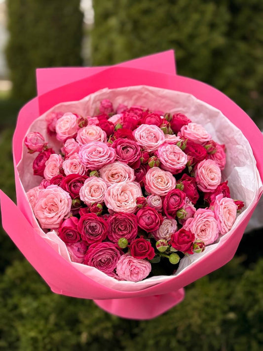 39 Roses Varieties Lady Bombastic and Majestic