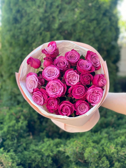 19 roses variety Prince of Persia