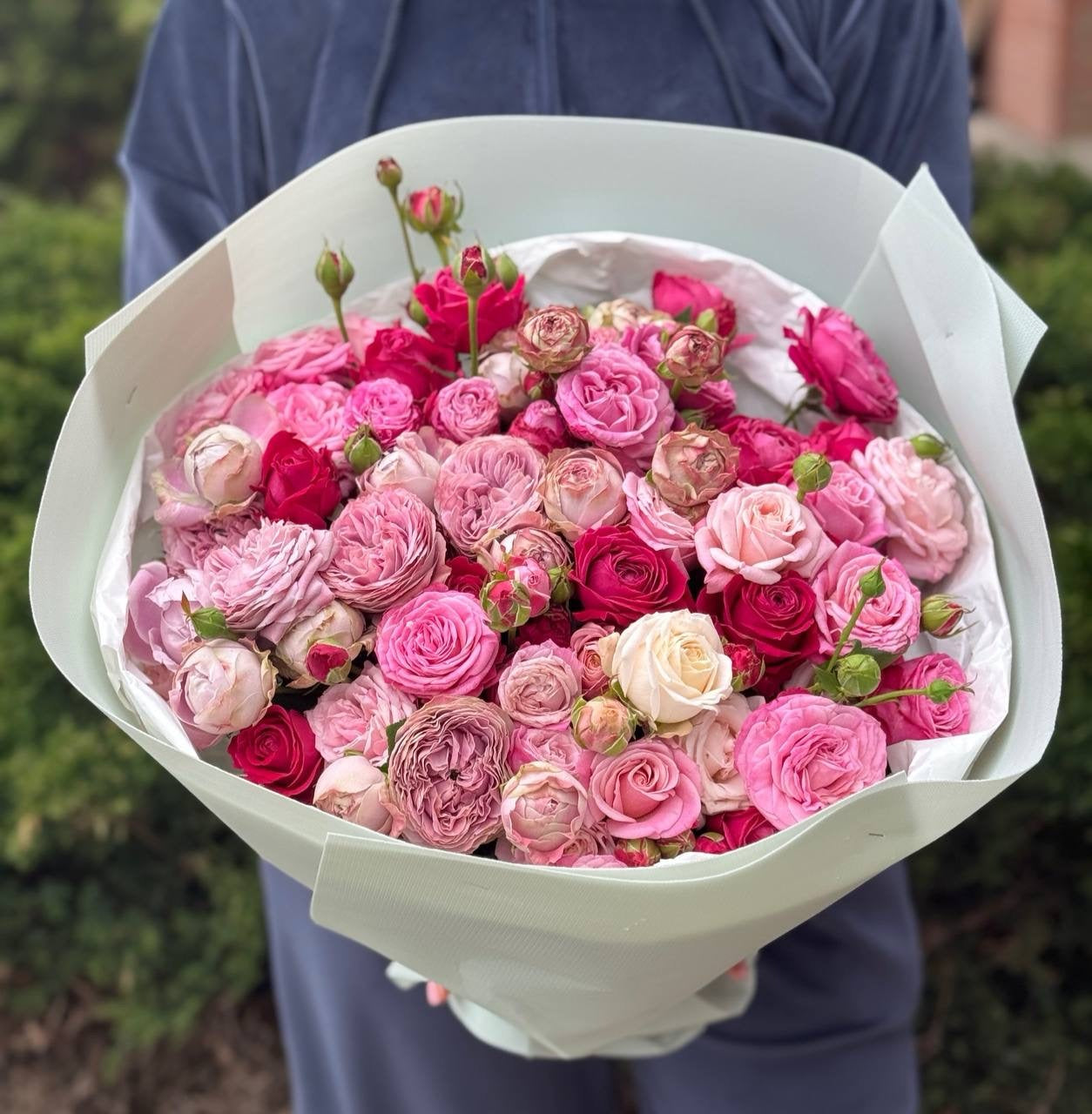 39 Roses Varieties Lavender Lace and Lavender
