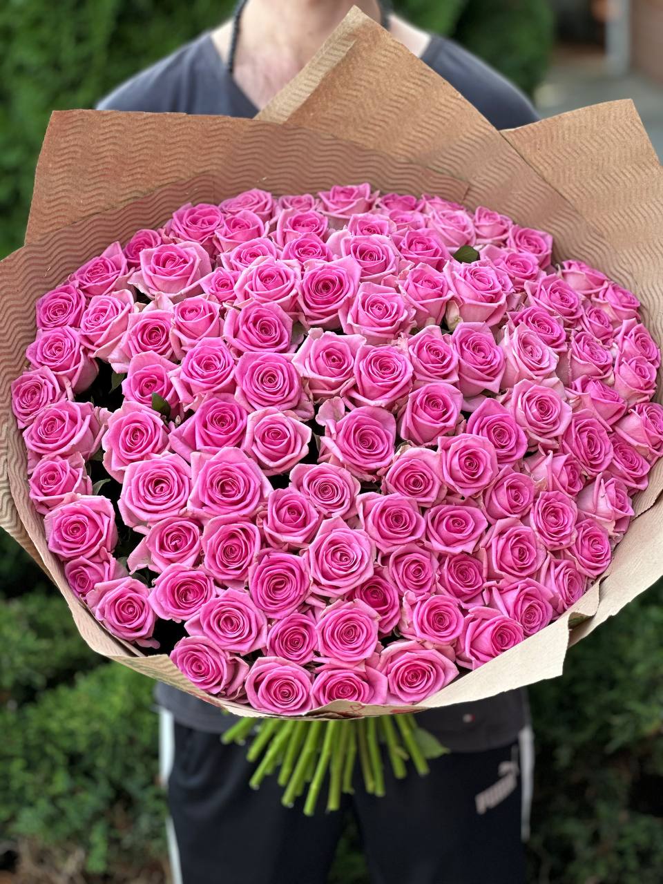 101 Roses Variety Aqua