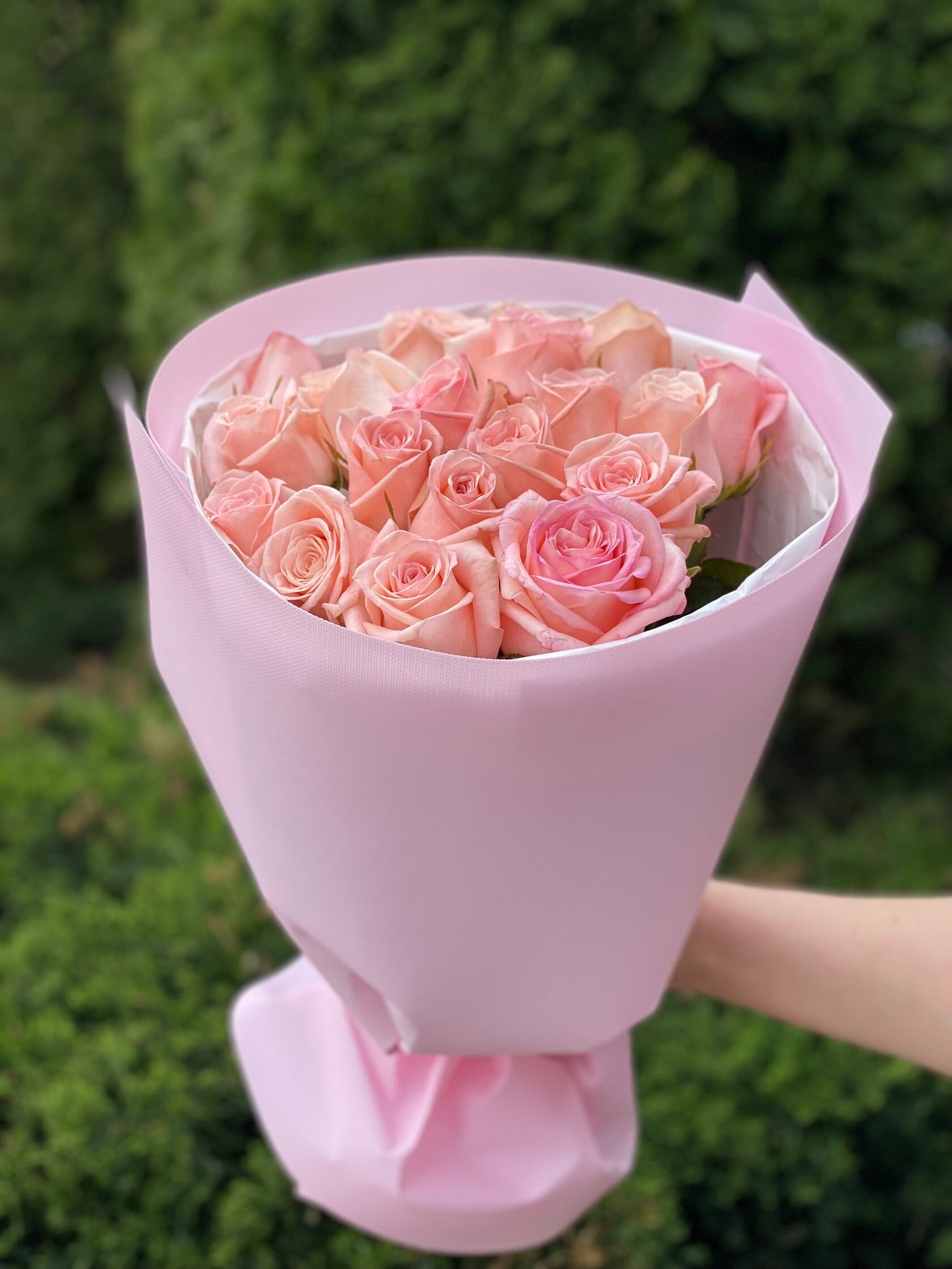 19 Roses Variety Kimberly