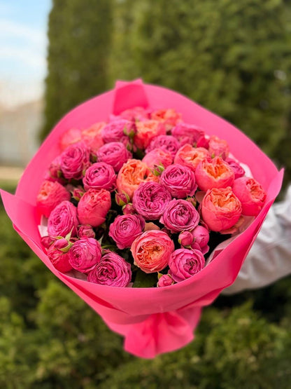 39 Roses Varieties Harper and Lavender Lace