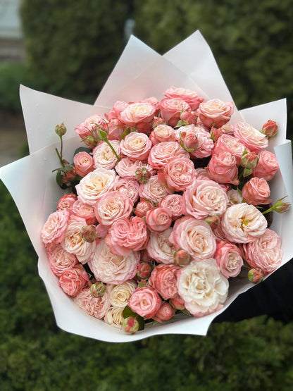 39 Spray Peony Roses Variety Bombastic