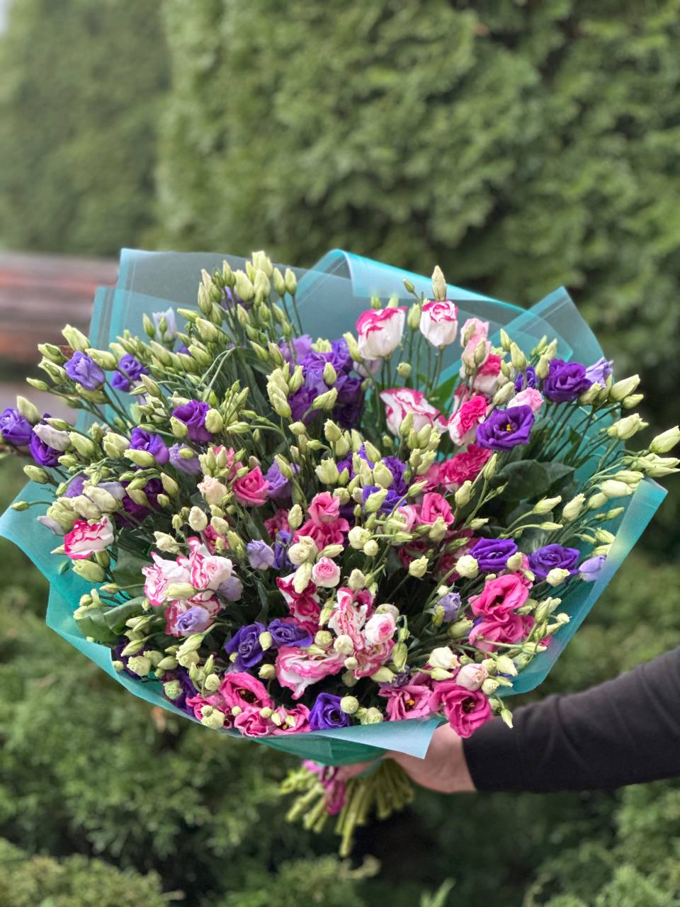 Eustoma 39 stems (70 cm)
