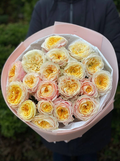 19 Roses Variety Cream Fragrance Peony Roses