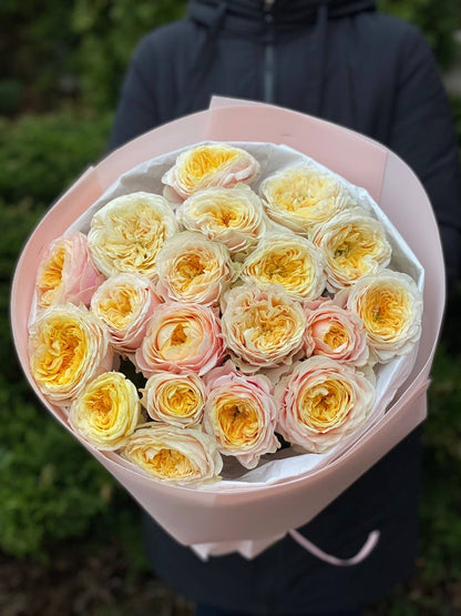 19 Roses Variety Cream Fragrance Peony Roses