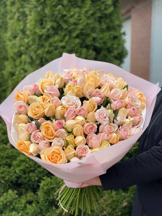 101 Roses of Peach Avalanche and Kimberley Varieties