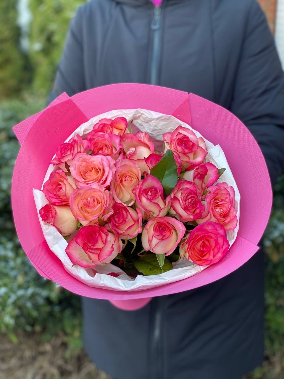 19 Roses Variety Jumilia