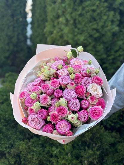 39 Roses Varieties Gelato and Lady Bombastic