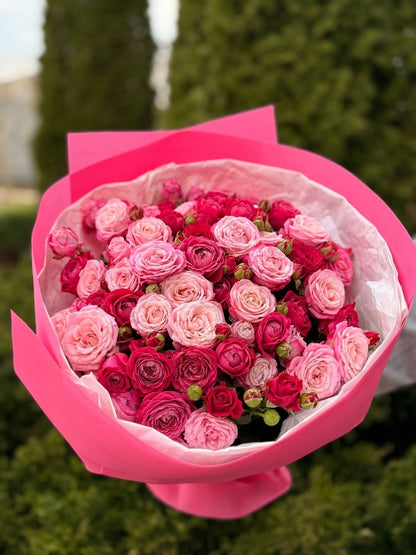 39 Roses Varieties Lady Bombastic and Majestic