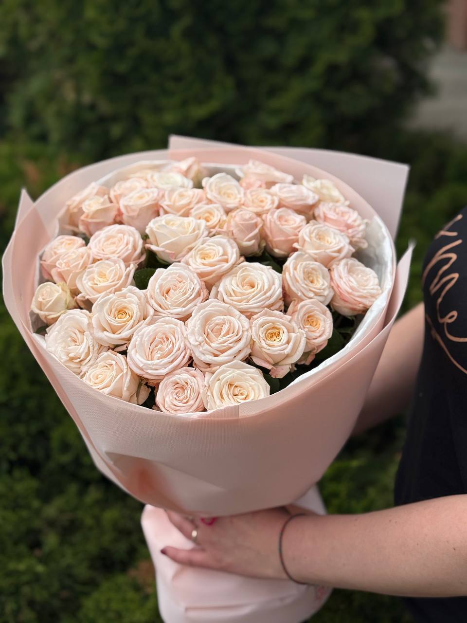 39 Spray Peony Roses Variety Bombastic Single-Bud
