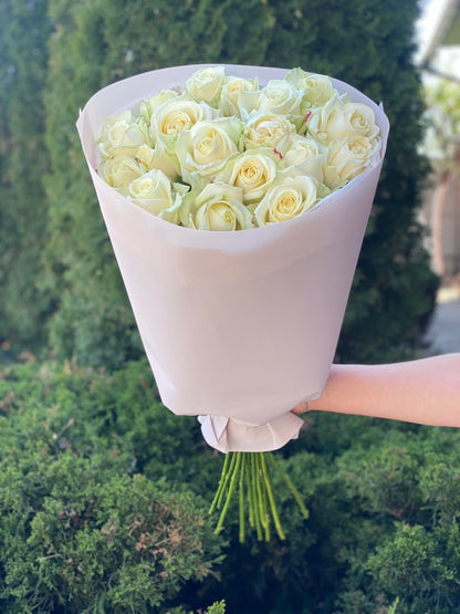 19 Roses Variety Avalanche